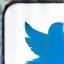 Twitter icon